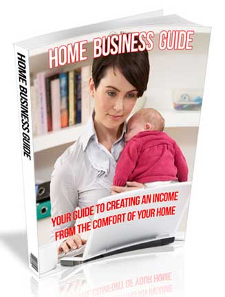 Home Business Guide PLR Ebook