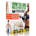 How To Lose Belly Fat Business-In-A-Box