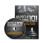 Muscle Building 101 Upgrade