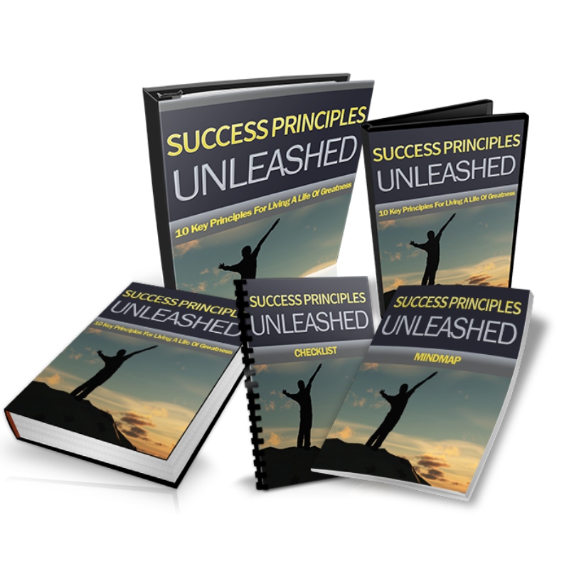 Success Principles Unleashed